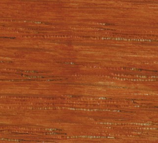 BURNT SIENNA